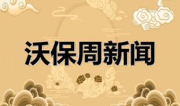 保险新闻最新爆料大全,揭秘行业动态与热点事件